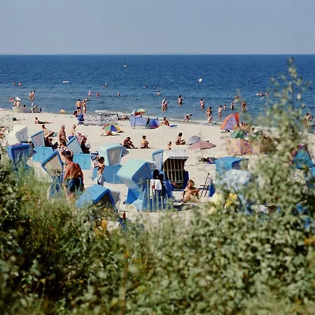 Hotel Seehotel Baltic 3*